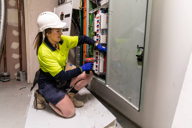 Best Electrical System Inspection  in Lakeview, MI