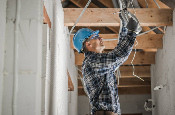 Best Local Electrician Companies  in Lakeview, MI