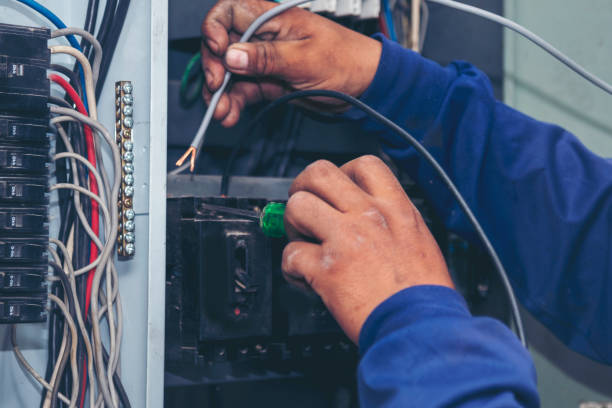 Best Home Electrical Repair  in Lakeview, MI